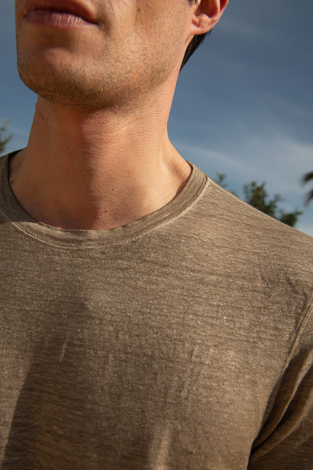 Linen T-Shirt, Taupe T-Shirt, Taupe  Linen T-Shirt, Men Linen T-Shirt, Taupe linen T-shirt, Gransasso Taupe linen Shirt, Maglietta di Lino, Maglietta Taupe, Maglietta di Lino Taupe, Maglietta di Lino Uomo, Maglietta di Lino Taupe, Camicia di Lino Taupe Gransasso, T-shirt en lin, T-shirt taupe, T-shirt en lin taupe, T-shirt en lin pour homme, T-shirt en lin taupe, Gransasso Taupe linen Shirt, 